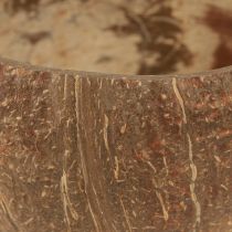 Artikel Kokosskål naturlig dekorativ kokosskål halverad 10cm 6 st