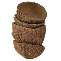 Kokosskål dekoration naturliga halva kokosnötter Ø7-9cm 5st