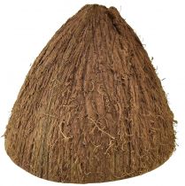Artikel Kokosskål dekoration naturliga halva kokosnötter Ø7-9cm 5st