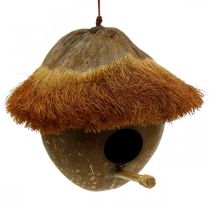 Kokos som häcklåda, fågelhus att hänga, kokosnötsdekoration Ø16cm L46cm