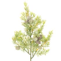 Artikel Konstgjord barrgren med kottar som konstgjord bordsdekoration, 39 cm, 4 stycken