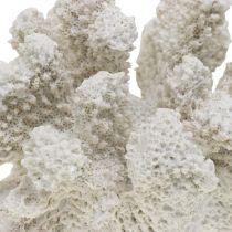 Maritim dekor korallvit konstgjord polyresin liten 13,5x12 cm