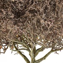 Korallgren Frostade konstgjorda växter Vinterdekoration Ø23cm