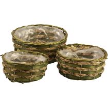 Korg växtkorg flätad grön 30×24/26×20/22×15cm set om 3