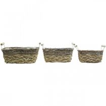 Artikel Växtkorg med handtag, fyrkantig korgskål, naturlig plantering för plantering av shabby chic tvättad vit L30/25,5/21 cm H12/11/10 cm set om 3