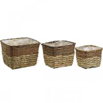 Artikel Växtkorg, naturlig behållare för plantering, fyrkantig blomskål naturlig L29,5/26/23cm H21/19/16cm set om 3