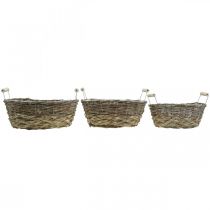 Artikel Naturkorg för plantering, korg med handtag, planteringslåda shabby chic vittvättad L31/27,5/24cm H12/11,5/10cm set om 3