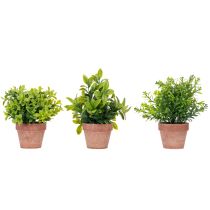 Artikel Konstgjord växt i blomkruka med realistisk textur för inomhusbruk och dekoration, 18 cm, 3 stycken