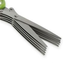 Gräslökssax med 5 blad