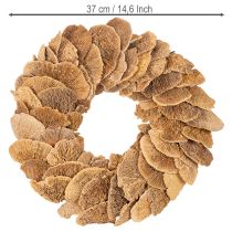 Artikel Trädsvampkrans, naturlig färg, för dörr- eller väggdekoration, 37 cm