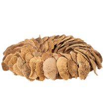 Artikel Trädsvampkrans, naturlig färg, för dörr- eller väggdekoration, 37 cm
