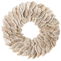 Artikel Kransträdsvamp Naturlig dekoration 37cm