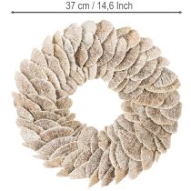 Artikel Kransträdsvamp Naturlig dekoration 37cm