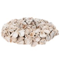 Artikel Krans med lotusblomma, naturlig dekoration, torkade blommor, 35 cm