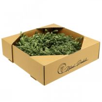 Artikel Julkransdekoration grön torkad blomkrans dörrkrans linört festlig Ø34cm