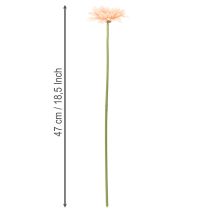 Artikel Konstgjorda Gerberablommor Aprikos 47cm 6st