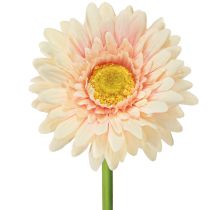 Artikel Konstgjorda blommor Gerbera Aprikos 47cm