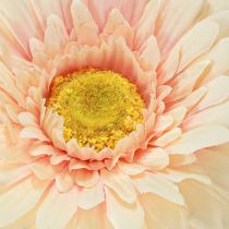 Artikel Konstgjorda blommor Gerbera Aprikos 47cm