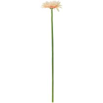 Artikel Konstgjorda blommor Gerbera Aprikos 47cm