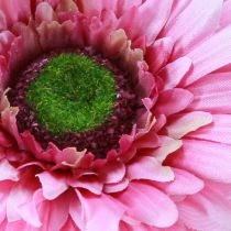 Artikel Konstgjorda Blommor Gerbera Trädgård Konstgjorda Blommor Rosa 47cm