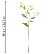 Artikel Konstgjord Gloriosa-blomma, vit och gul, elegant blommande gren för dekoration, 80 cm, 3 stycken