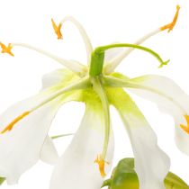Artikel Konstgjord Gloriosa-blomma, vit och gul, elegant blommande gren för dekoration, 80 cm, 3 stycken