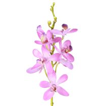 Artikel Konstgjorda orkidéer 8 lila blommor Ø3,5cm–5cm 2st