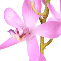 Artikel Konstgjorda orkidéer 8 lila blommor Ø3,5cm–5cm 2st