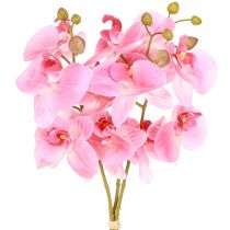Artikel Konstgjorda Orkidéer Rosa Konstgjorda Blommor Som Äkta 56cm 3 St