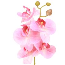 Artikel Konstgjorda Orkidéer Rosa Konstgjorda Blommor Som Äkta 56cm 3 St