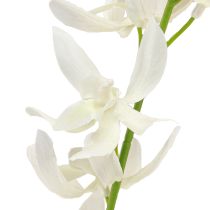 Artikel Konstgjord orkidégren Kräm Vita Blommor L90cm 2st