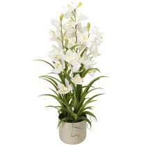 Artikel Konstgjorda orkidéer i kruka med vita blommor H80cm