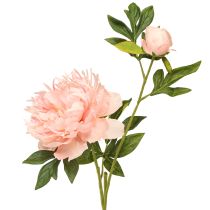 Artikel Konstgjorda pioner Rosa Paeonia Lax L60cm 2st