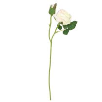 Artikel Konstgjorda Rosor Konstgjorda Blommor Bunch Cream 36cm 12st