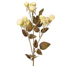 Artikel Konstgjorda rosor vissnade Drylook 9 kronblad kräm 69cm