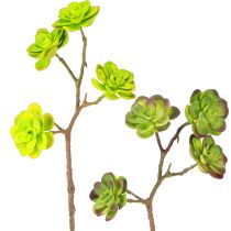 Artikel Konstgjorda suckulenter med stjälk grön lila assorterad 32cm 2st