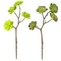 Artikel Konstgjorda suckulenter med stjälk grön lila assorterad 32cm 2st