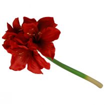 Artikel Konstgjord Amaryllis Julblommor Röda Konstgjorda Blommor L40cm