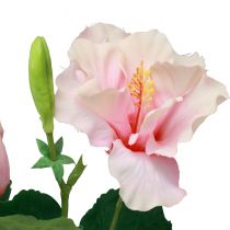 Artikel Konstgjorda Blommor Hibiscus Rosa 62cm