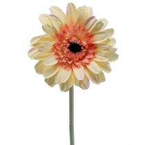 Artikel Konstgjord gerbera blomma konstgjord blomma aprikos Ø11cm L50cm