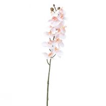 Artikel Konstgjord orkidé Rosa Phalaenopsis Real Touch 58cm