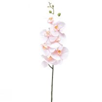 Konstgjord orkidé Rosa Phalaenopsis Real Touch 83cm