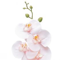 Artikel Konstgjord orkidé Rosa Phalaenopsis Real Touch 83cm