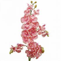 Konstgjorda orkidéer deco konstgjord blomma orkidé rosa 71cm