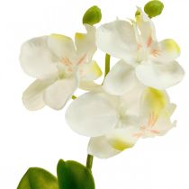 Artikel Konstgjorda orkidéer Konstgjord blomorkidé vit 20cm
