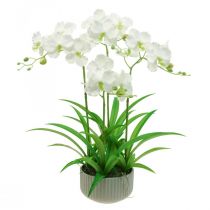 Konstgjorda orkidéer konstgjorda blommor i vit kruka 60cm