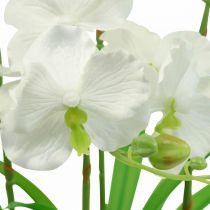 Konstgjorda orkidéer konstgjorda blommor i vit kruka 60cm