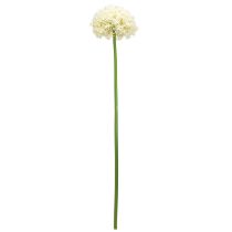 Artikel Konstgjord Allium Creme Vit Prydnadslök Ø18cm L90cm