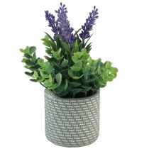 Artikel Konstgjord lavendel i kruka keramik lila grön H22cm