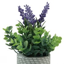 Artikel Konstgjord lavendel i kruka keramik lila grön H22cm